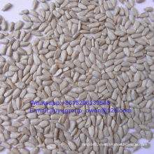 Export Grade Food Grade Sunflower Seed Kernel